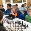 Московский областной шахматный турнир 24