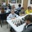 Московский областной шахматный турнир 15