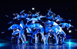 Концерт шоу-балета "TODES"