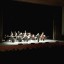 Концерт оркестра Венской Императорской филармонии 2