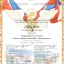 XI Всероссийский фестиваль-конкурс народного искусства «Хранители наследия России» 16