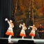 Отчетный концерт народного ансамбля танца "Россия" 15