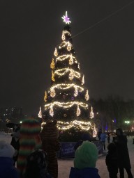 "Зима в Подмосковье"